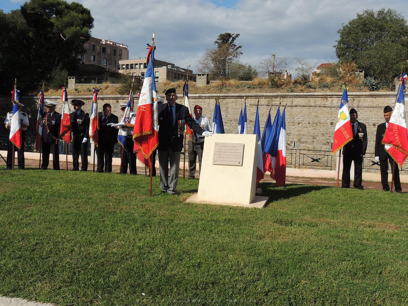 2019 09 25 TOULON HOMMAGE NATIONAL AUX HARKIS ET AUX FORMATIONS SUPPLETIVES  (22).JPG -           